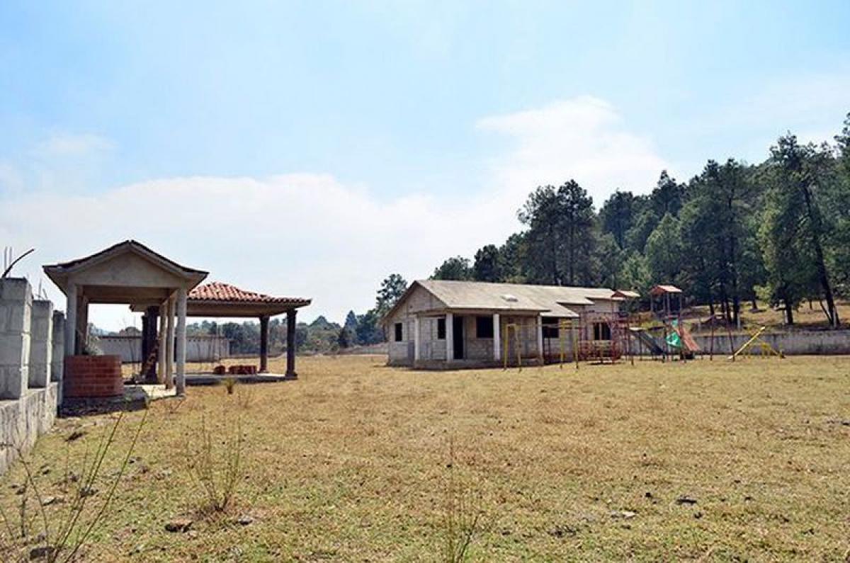  Land in Mexico No. 206674