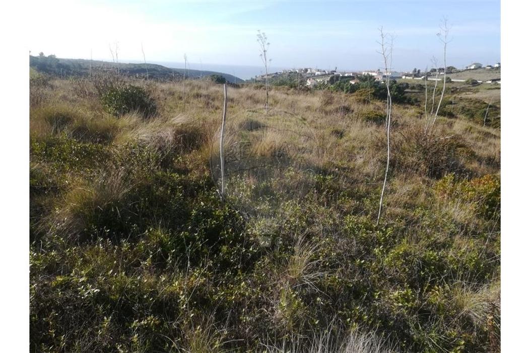  قطعة أرض في Sintra, Portugal 10520متر مربع رقم 63440