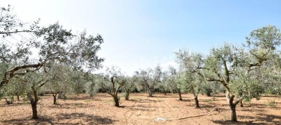 4000m² Land in Oria, Italy No. 28521 2