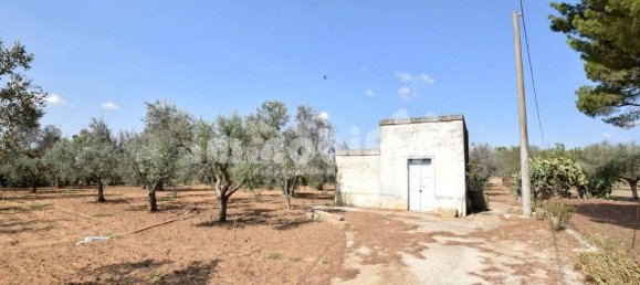 4000m² Land in Oria, Italy No. 28521 8