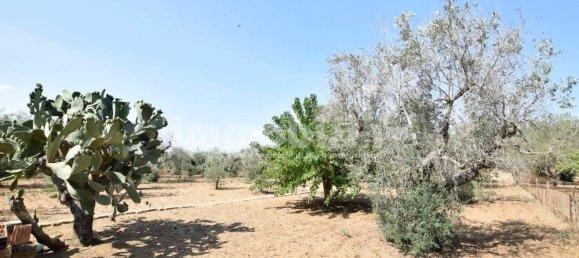 4000m² Land in Oria, Italy No. 28521 4