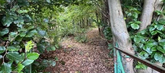 3 chambres Maison à Siegen-Wittgenstein, Germany No. 274973 28