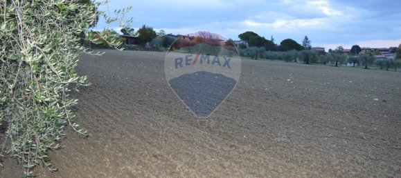 1 room Land in Marsciano, Italy No. 128279 7