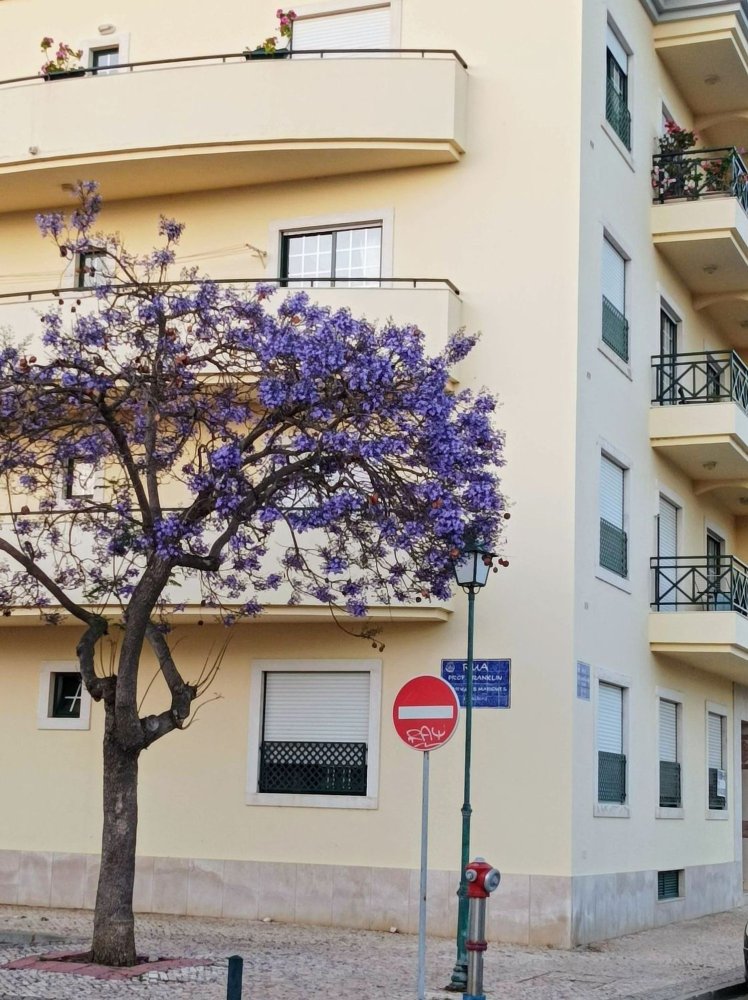 3 bedrooms Apartment in Faro, Portugal No. 189855