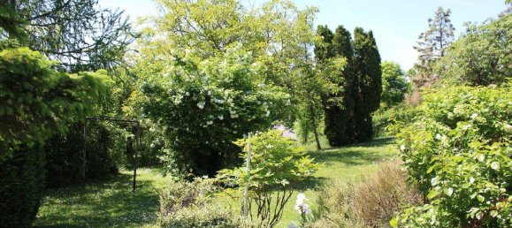 16-salle Maison à Fischamend, Austria No. 248946 28