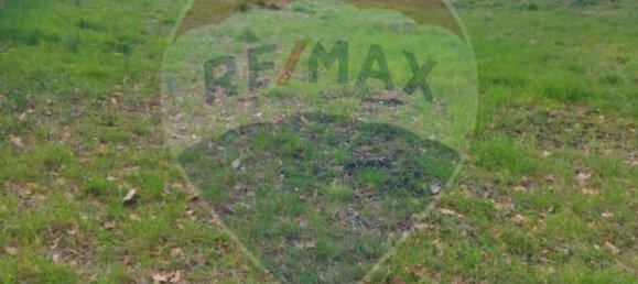 1001m² Land in Rio Douro, Portugal No. 50280 4