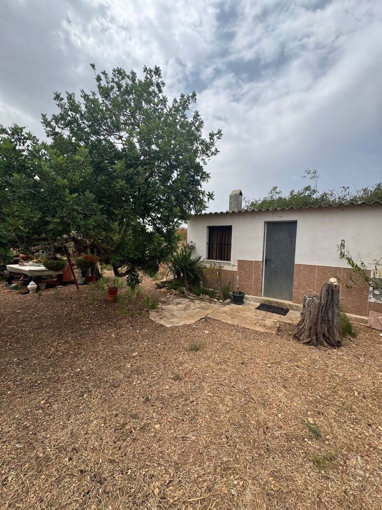 Дом с 1 спальней в Ллукмайор, Испания № 256186