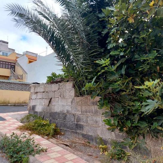 Grundstück in Firgas, Spain 200m², Nr. 136364