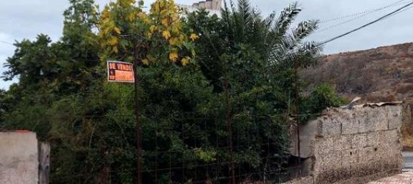 Grundstück in Firgas, Spain 200m², Nr. 136364 4