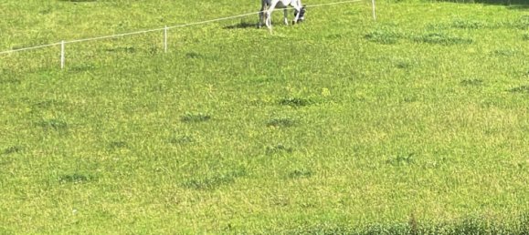 2 bedrooms Apartment in Ostholstein, Germany No. 238729 16