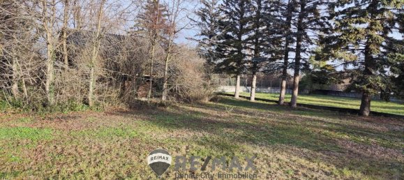 Land in Sollenau, Austria No. 76168 2