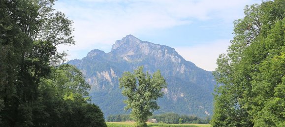 Villa de 9 dormitorios en Anif, Austria No. 14609 3