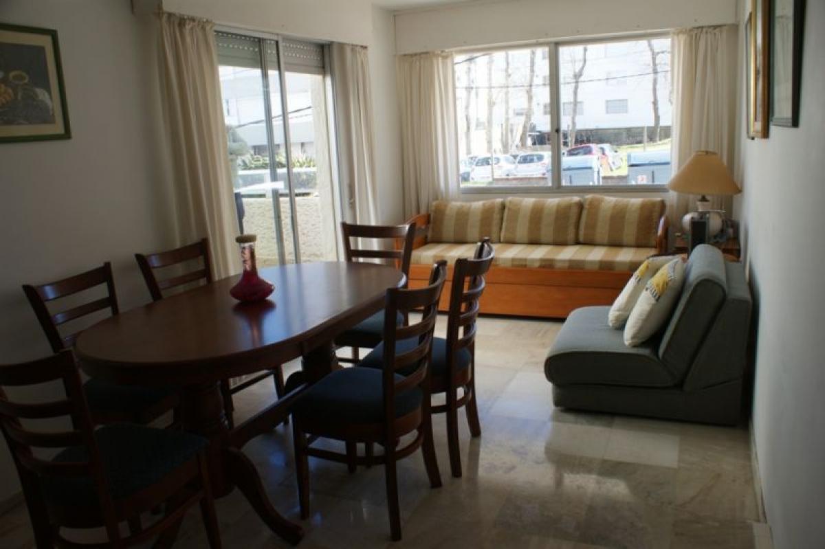 Studio in Maldonado, Uruguay No. 8483