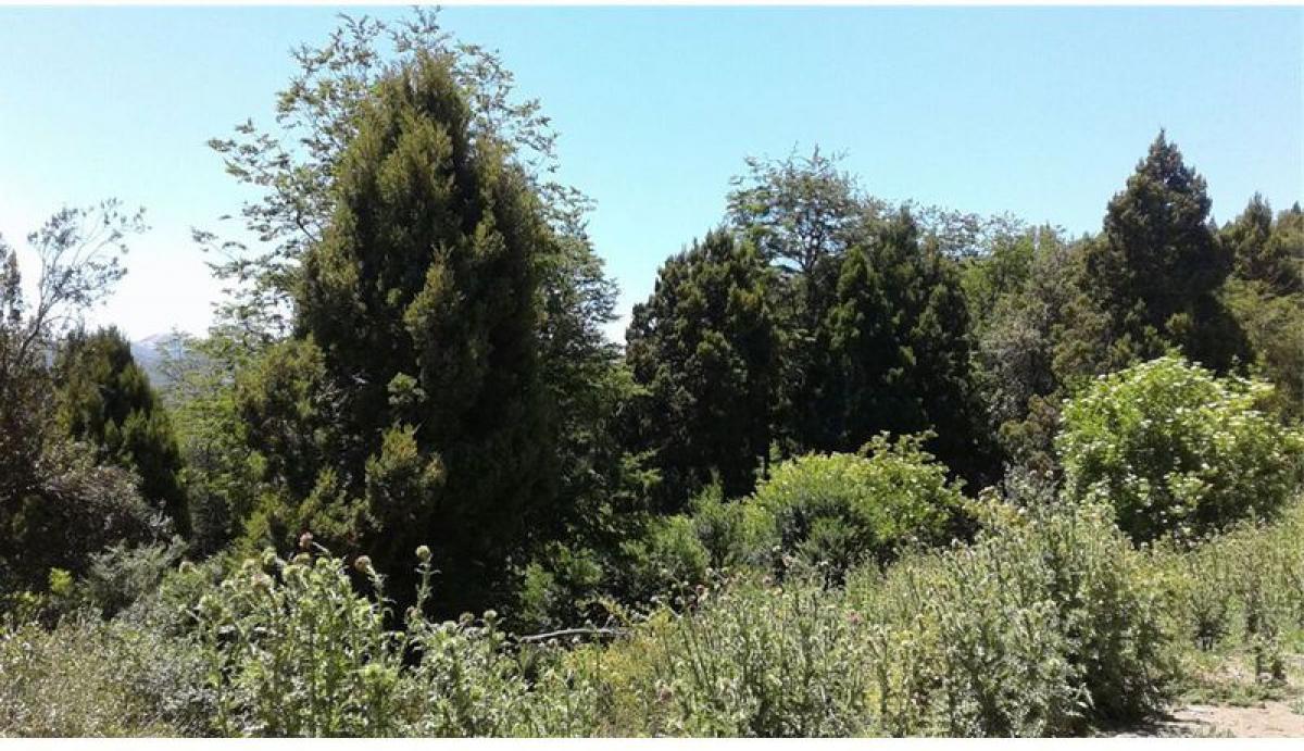 Grundstück in Neuquen, Argentina, Nr. 45126