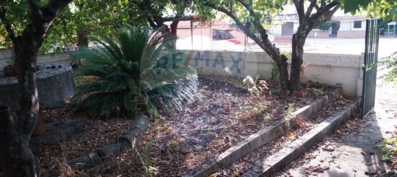 3 غرف نوم منزل في Proenca a Nova, Portugal رقم 179215 5