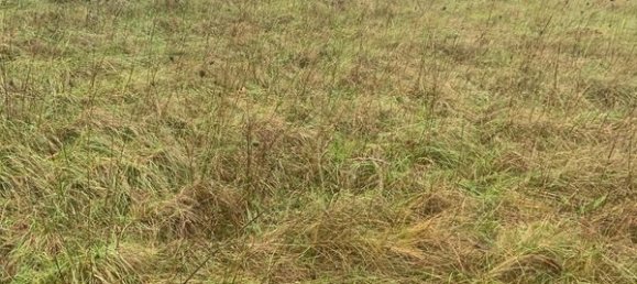 1289m² Land in Artemare, France No. 272918 2