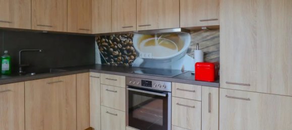 Apartamento T1 em Ludwigshafen am Rhein, Germany N.º 58533 5