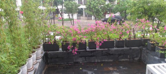 Casa T3 em Hoang Mai, Vietnam N.º 3657 4