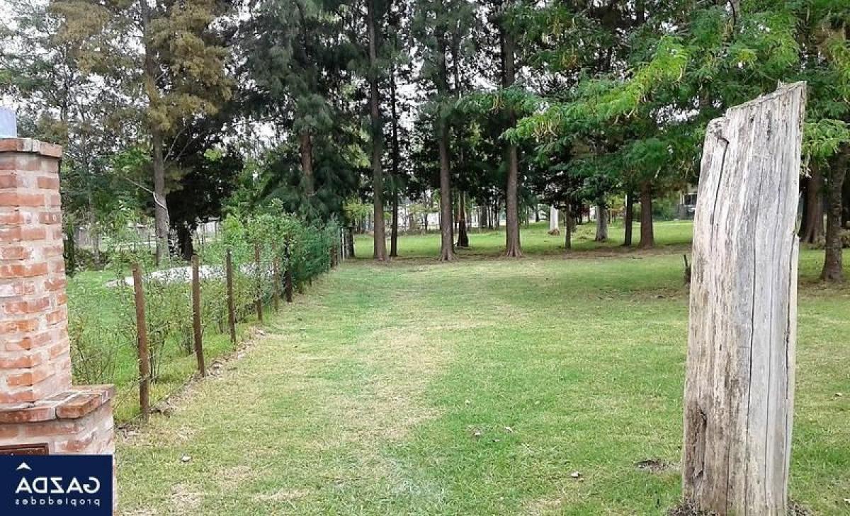  Land in San Vicente, Argentina No. 34473