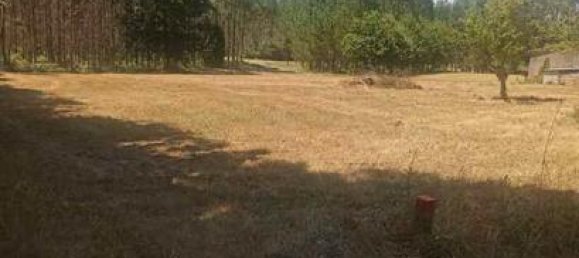 5000m² Land in O Pino, Spain No. 185007 4