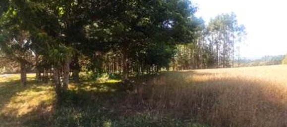 5000m² Land in O Pino, Spain No. 185007 9