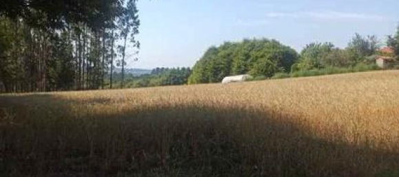 5000m² Land in O Pino, Spain No. 185007 6