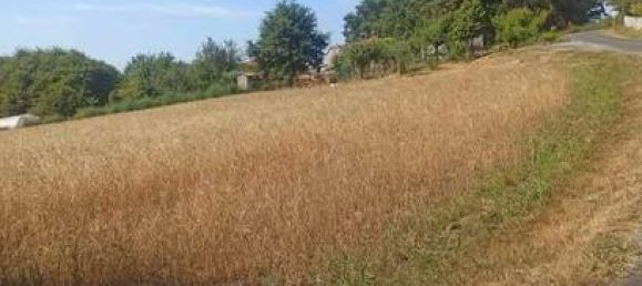 5000m² Land in O Pino, Spain No. 185007 10