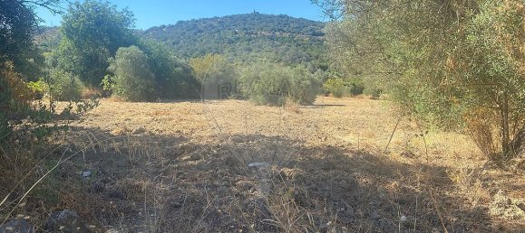 7800m² Land in Faro, Portugal No. 30852 3