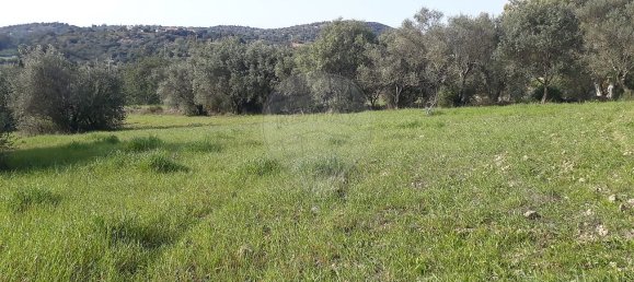 7800m² Land in Faro, Portugal No. 30852 6