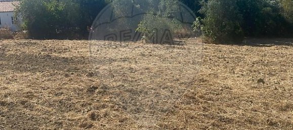 7800m² Land in Faro, Portugal No. 30852 2