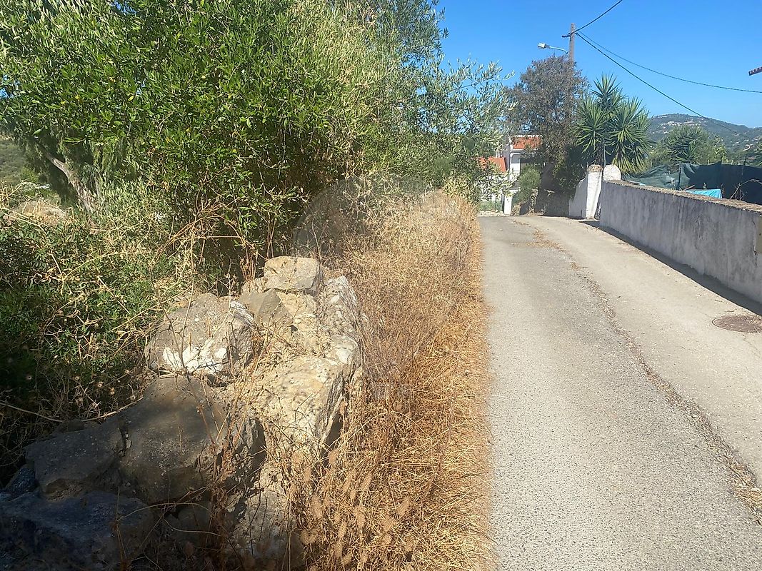 7800m² Land in Faro, Portugal No. 30852