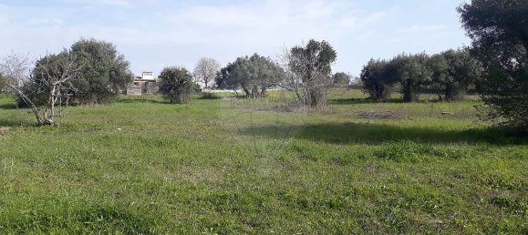 7800m² Land in Faro, Portugal No. 30852 5
