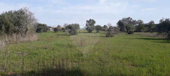7800m² Land in Faro, Portugal No. 30852 9