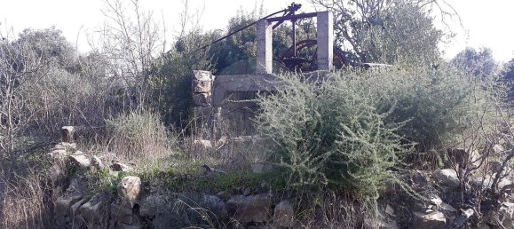 7800m² Land in Faro, Portugal No. 30852 7