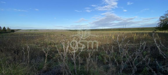 4 bedrooms House in Maille, France No. 57128 11