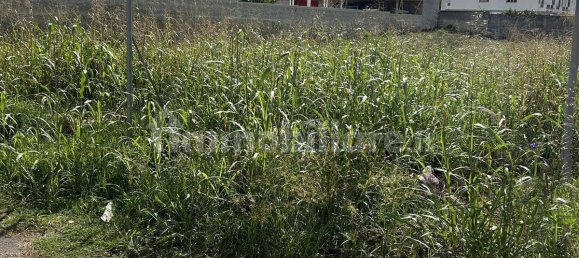 1000m² Land in Pulsano, Italy No. 211879 3