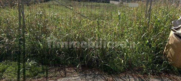 1000m² Land in Pulsano, Italy No. 211879 5