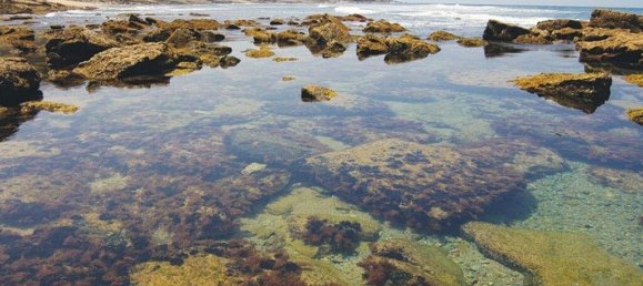 2 Schlafzimmer Villa in Sesimbra, Portugal, Nr. 101031 35