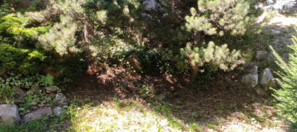 Apartamento T2 em Les Angles, France N.º 297501 6