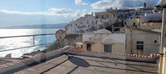 5 rooms Apartment in Vieste, Italy No. 23722 14
