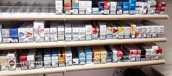 1 room Commercial property in Rome, Italy No. 311796 7