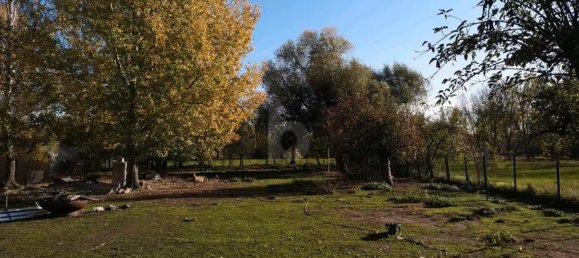 Propriété commerciale à Jerichower Land, Germany 320m² No. 254271 4