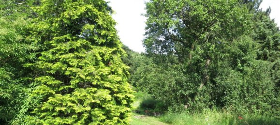 Grundstück in Döbling, Austria, Nr. 134971 5