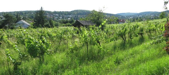 Grundstück in Döbling, Austria, Nr. 134971 11