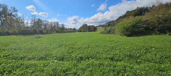 9 rooms Farm in Altotting, Germany No. 145497 7