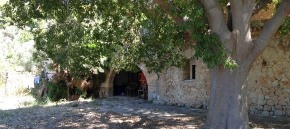 12 bedrooms Villa in Mallorca, Spain No. 14125 8