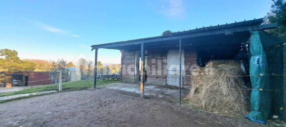 2 bedrooms Apartment in Bassano Romano, Italy No. 113241 47