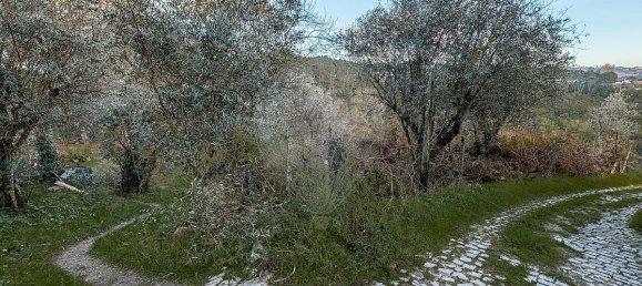 Casa T4 em Castro Daire, Portugal N.º 19085 22