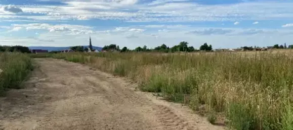 Land in Hildesheim, Germany No. 171622 6