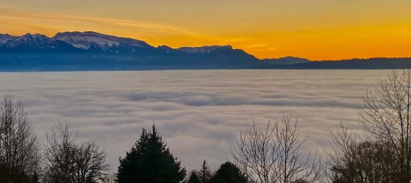 3 bedrooms Castles in Bonne, France No. 190826 5